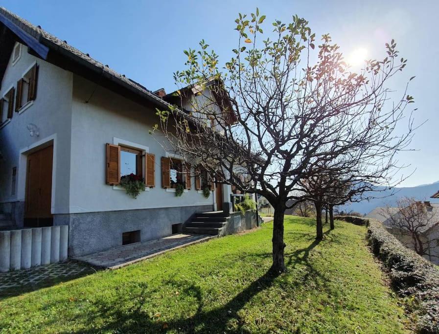 House Pucnk-Beautiful Countryside Villa Zelezniki Kültér fotó