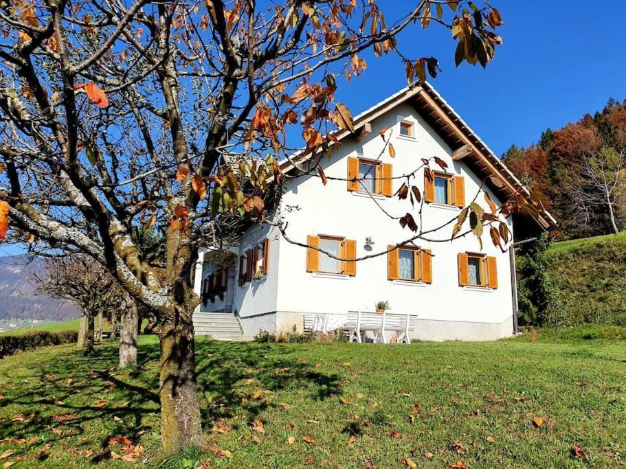 House Pucnk-Beautiful Countryside Villa Zelezniki Kültér fotó