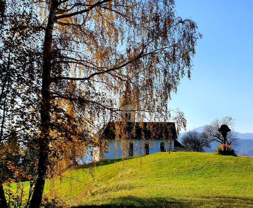 House Pucnk-Beautiful Countryside Villa Zelezniki Kültér fotó